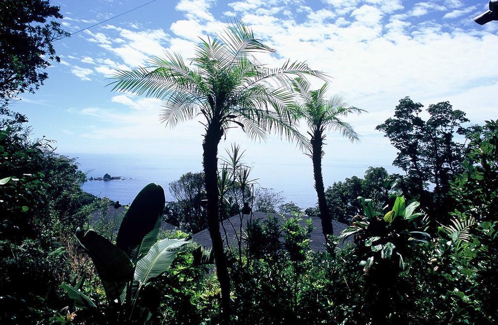 Ishiyama Rikyu Gosoku No Kutsu Amakusa (Amakusa Islands) Exterior photo